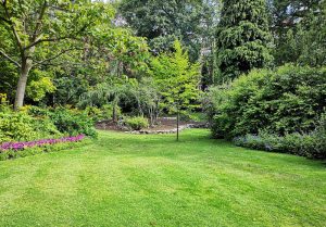 Optimiser l'expérience du jardin à Montouliers